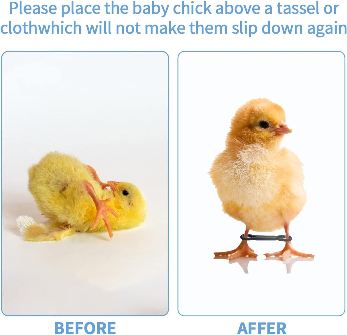 100 Pieces Baby Chicken Splay Leg Hobble Brace Adjustable Poultry Leg Bands for Newborn Spraddle Leg of Chick Bird Quails Ducks of 1 to 3 Days Newly Hatched