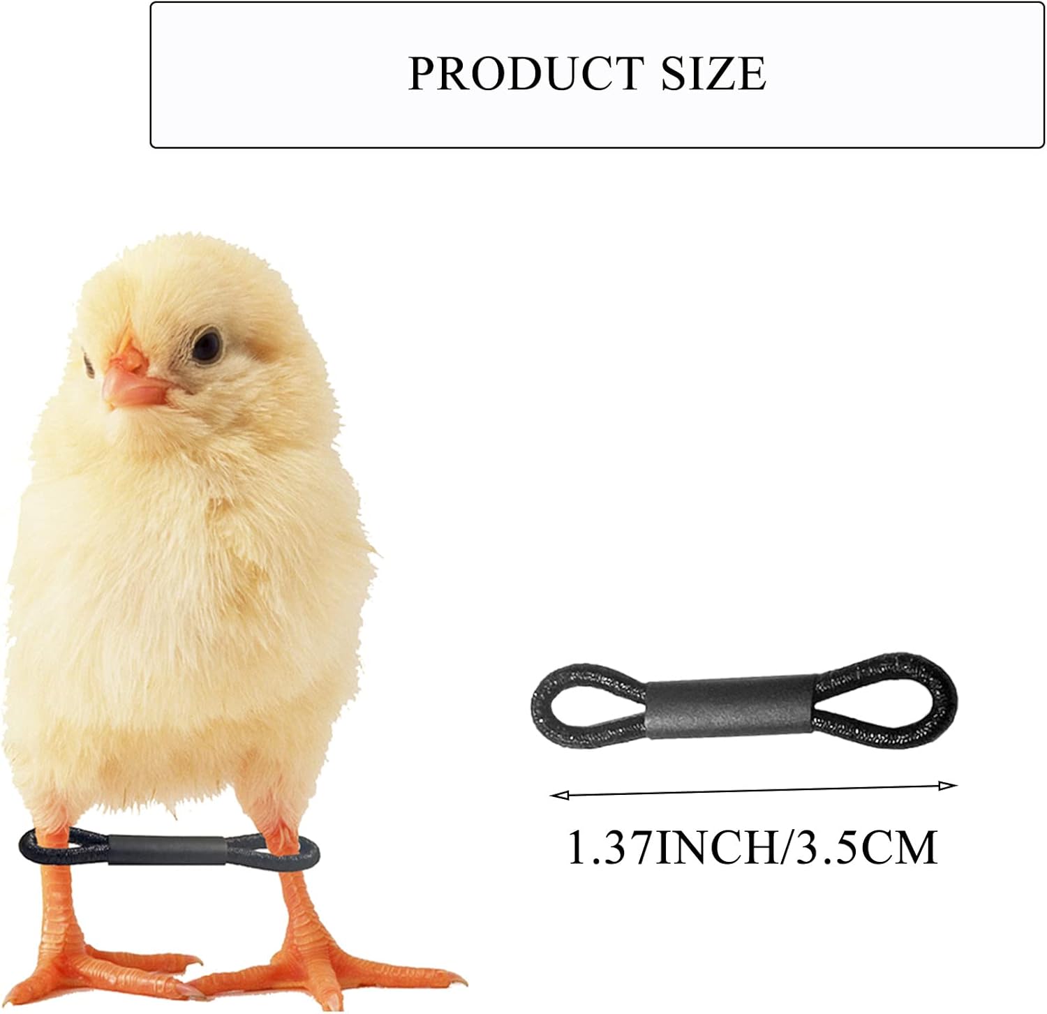 100 Pieces Baby Chicken Splay Leg Hobble Brace Adjustable Poultry Leg Bands for Newborn Spraddle Leg of Chick Bird Quails Ducks of 1 to 3 Days Newly Hatched