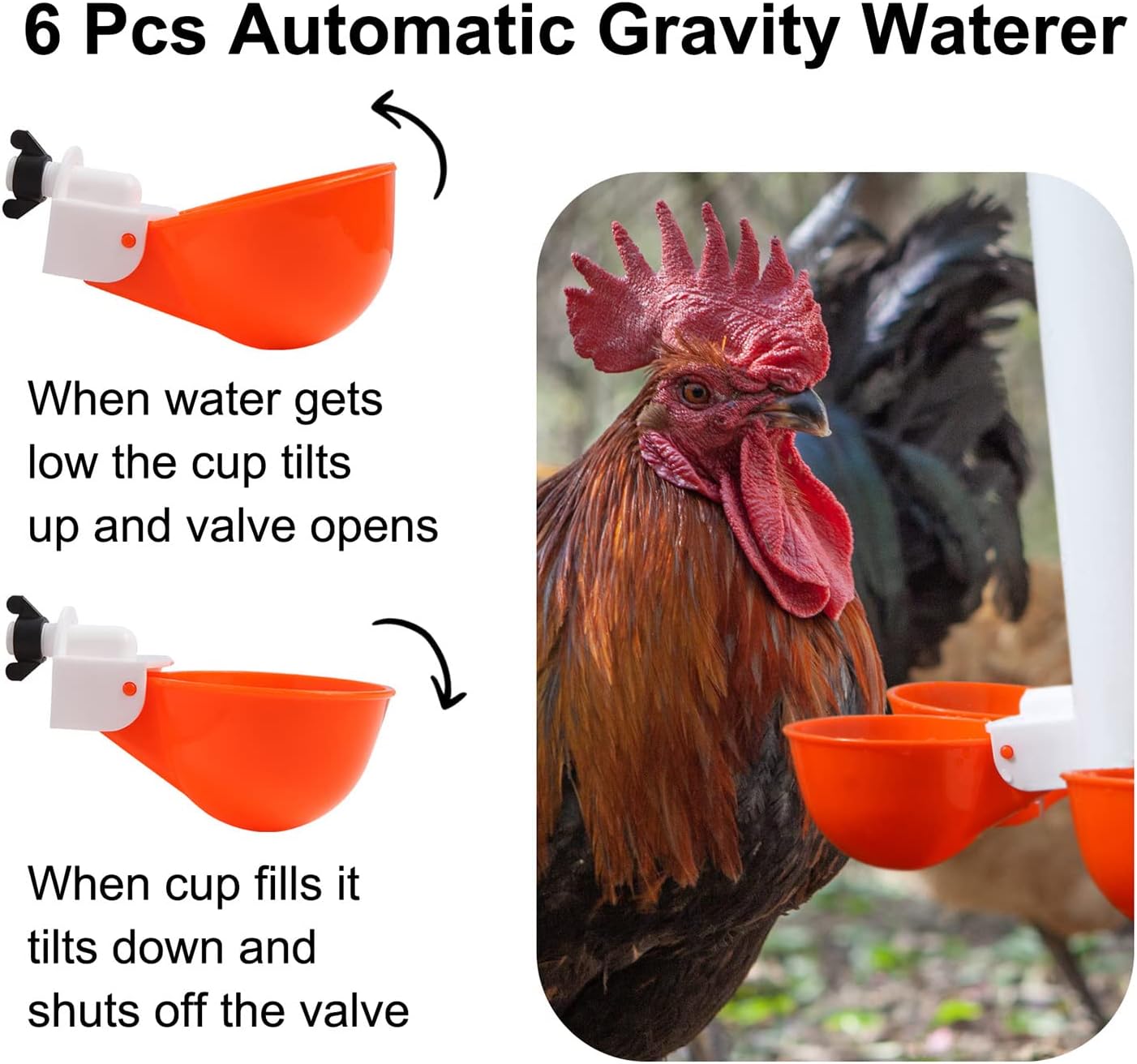 Chicken Feeder No Waste Automatic Poultry Feeder Ports Kit Chicken Feeders and Waterer Set