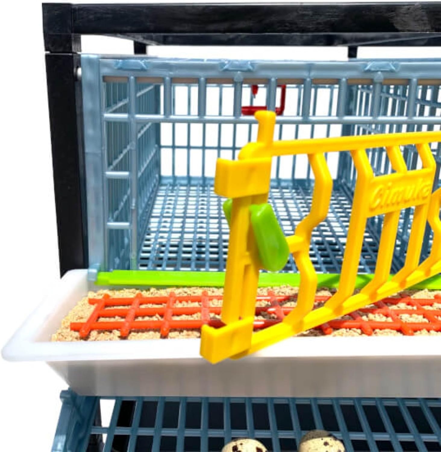 Quail Breeding Cage Indoor: 3 Layer Stackable Quail Coop, Easy Clean, Rust-Free, Easy Egg Collection (2024 Upgrades: Longer Waste Trays, Removable Middle Walls) Cimuka by Hatching Time (Traditional)