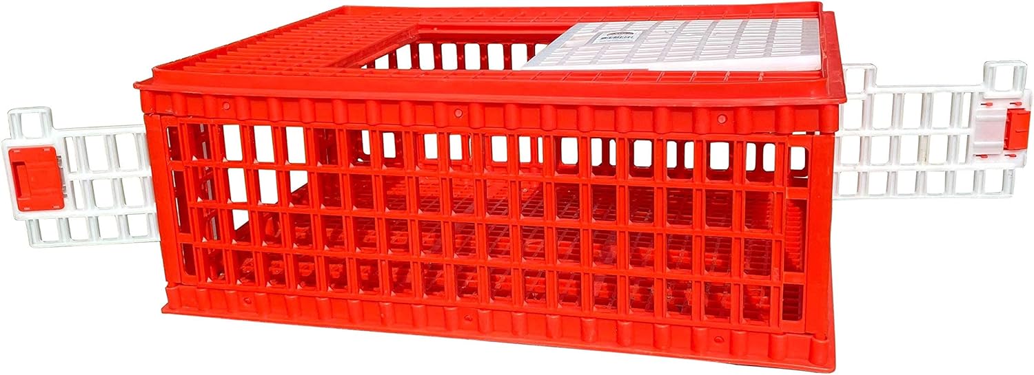 RentACoop Poultry Carrier Crate (Pack of 1) 29" L x 22" W x 12" H for Chickens