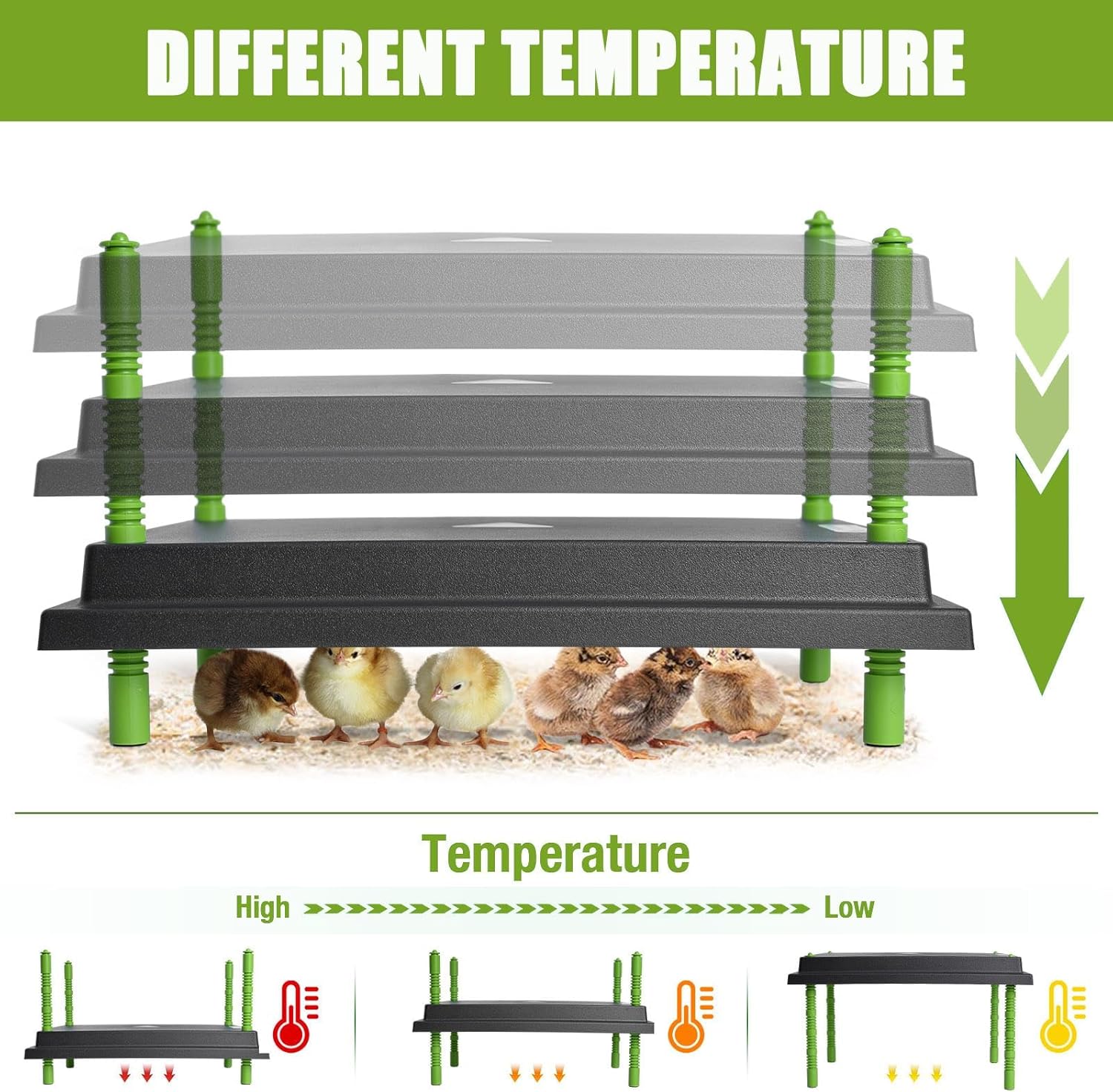 Chick Brooder Heater Plate, 12"x16" Warmer Brooder Plate for Chicks with Adjustable Height & Temperature Display, 30W Temperature Control Brooder Heating Plate for 40 Baby Chicks Duck
