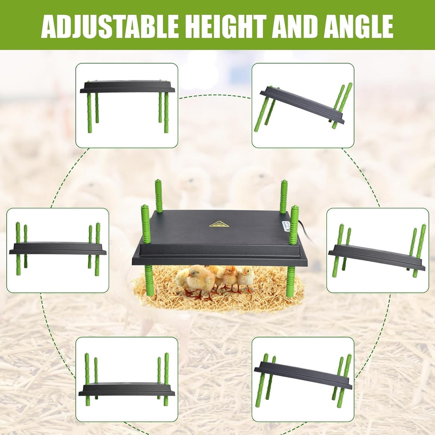 Chick Brooder Heater Plate, 12"x16" Warmer Brooder Plate for Chicks with Adjustable Height & Temperature Display, 30W Temperature Control Brooder Heating Plate for 40 Baby Chicks Duck