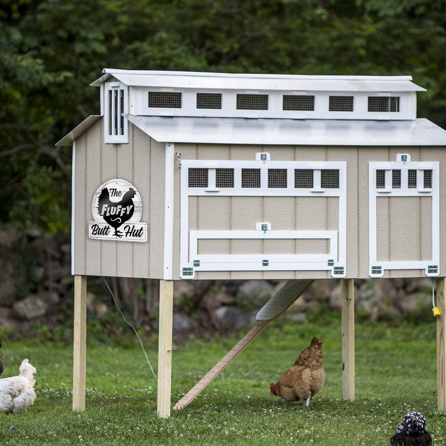 Bigtime Signs Fluffy Butt Hut Chicken Coop Sign - Funny Chickens Coop Decor for Hen Lovers, 12"x11" PVC Durable and Weatherproof - Thoughtful Gift for Chicken Lovers, Hen Feeder and Nesting Box Accent