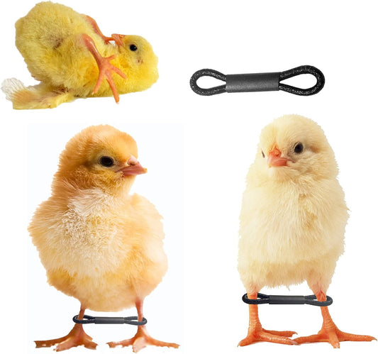 100 Pieces Baby Chicken Splay Leg Hobble Brace Adjustable Poultry Leg Bands for Newborn Spraddle Leg of Chick Bird Quails Ducks of 1 to 3 Days Newly Hatched