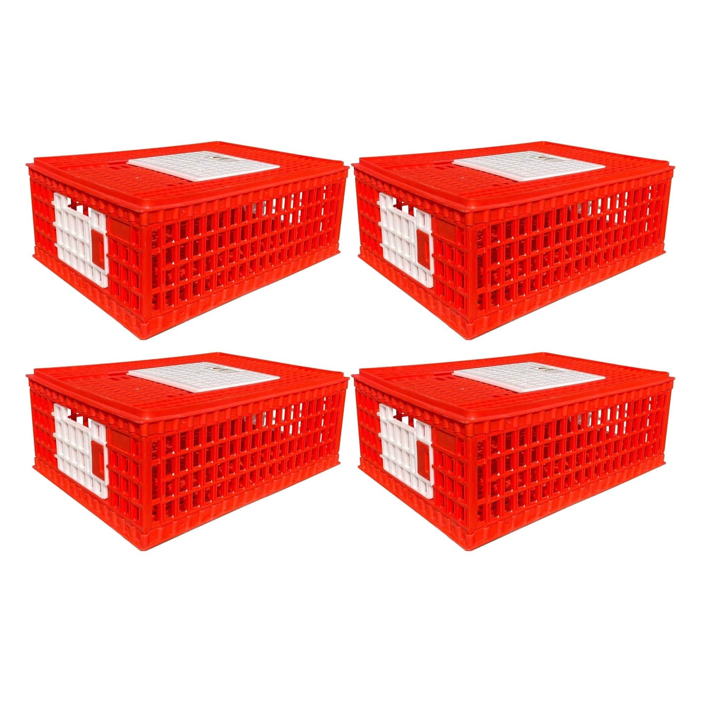 RentACoop Poultry Carrier Crate (Pack of 1) 29" L x 22" W x 12" H for Chickens