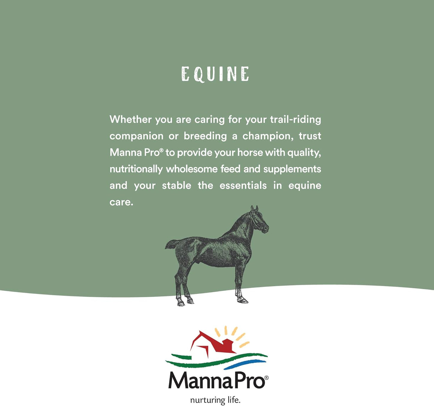 Manna Pro Hen Healer, 2oz
