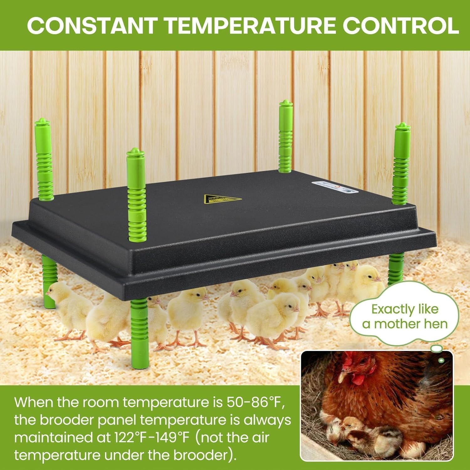 Chick Brooder Heater Plate, 12"x16" Warmer Brooder Plate for Chicks with Adjustable Height & Temperature Display, 30W Temperature Control Brooder Heating Plate for 40 Baby Chicks Duck