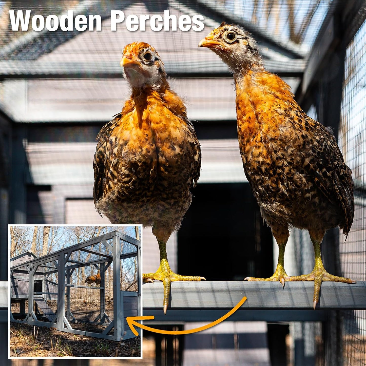 GUTINNEEN Chicken Coop with Run for 8-10 Chickens Extra Large Hen House Poultry Cage Outdoor with Nesting Box