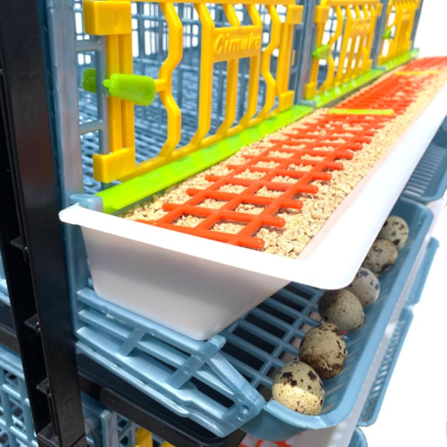 Quail Breeding Cage Indoor: 3 Layer Stackable Quail Coop, Easy Clean, Rust-Free, Easy Egg Collection (2024 Upgrades: Longer Waste Trays, Removable Middle Walls) Cimuka by Hatching Time (Traditional)