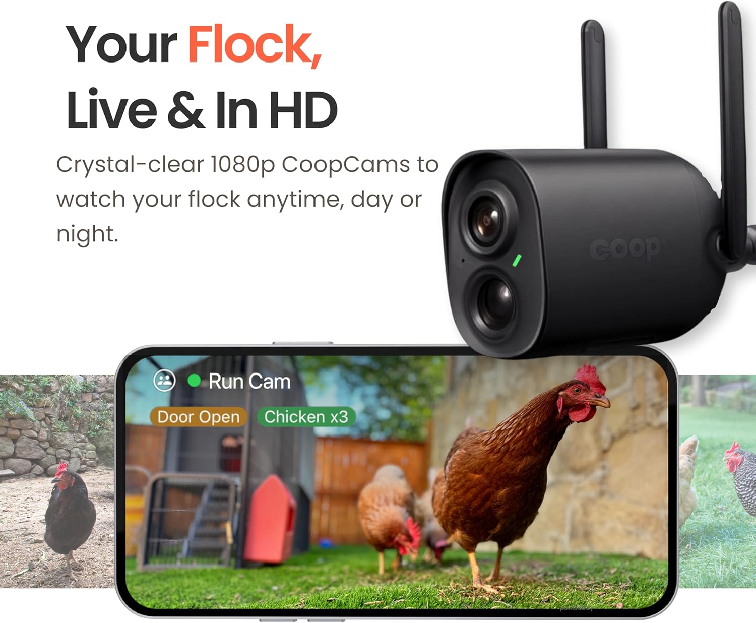 Coop Smart WiFi Chicken Camera โ 1080p HD, Night Vision, AI Predator Alerts, iOS Only, Battery + Solar Option, Outdoor Waterproof Security Cam Monitoring & Egg Watch