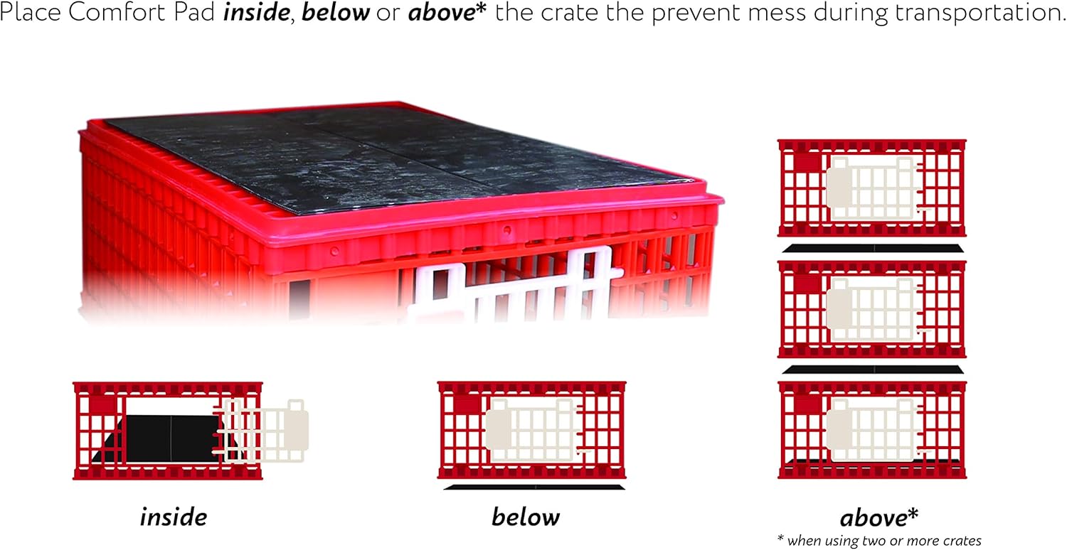 RentACoop Poultry Carrier Crate (Pack of 1) 29" L x 22" W x 12" H for Chickens