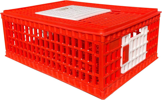 RentACoop Poultry Carrier Crate (Pack of 1) 29" L x 22" W x 12" H for Chickens