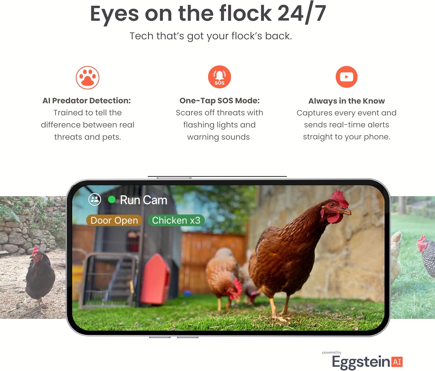 Coop Smart WiFi Chicken Camera โ 1080p HD, Night Vision, AI Predator Alerts, iOS Only, Battery + Solar Option, Outdoor Waterproof Security Cam Monitoring & Egg Watch
