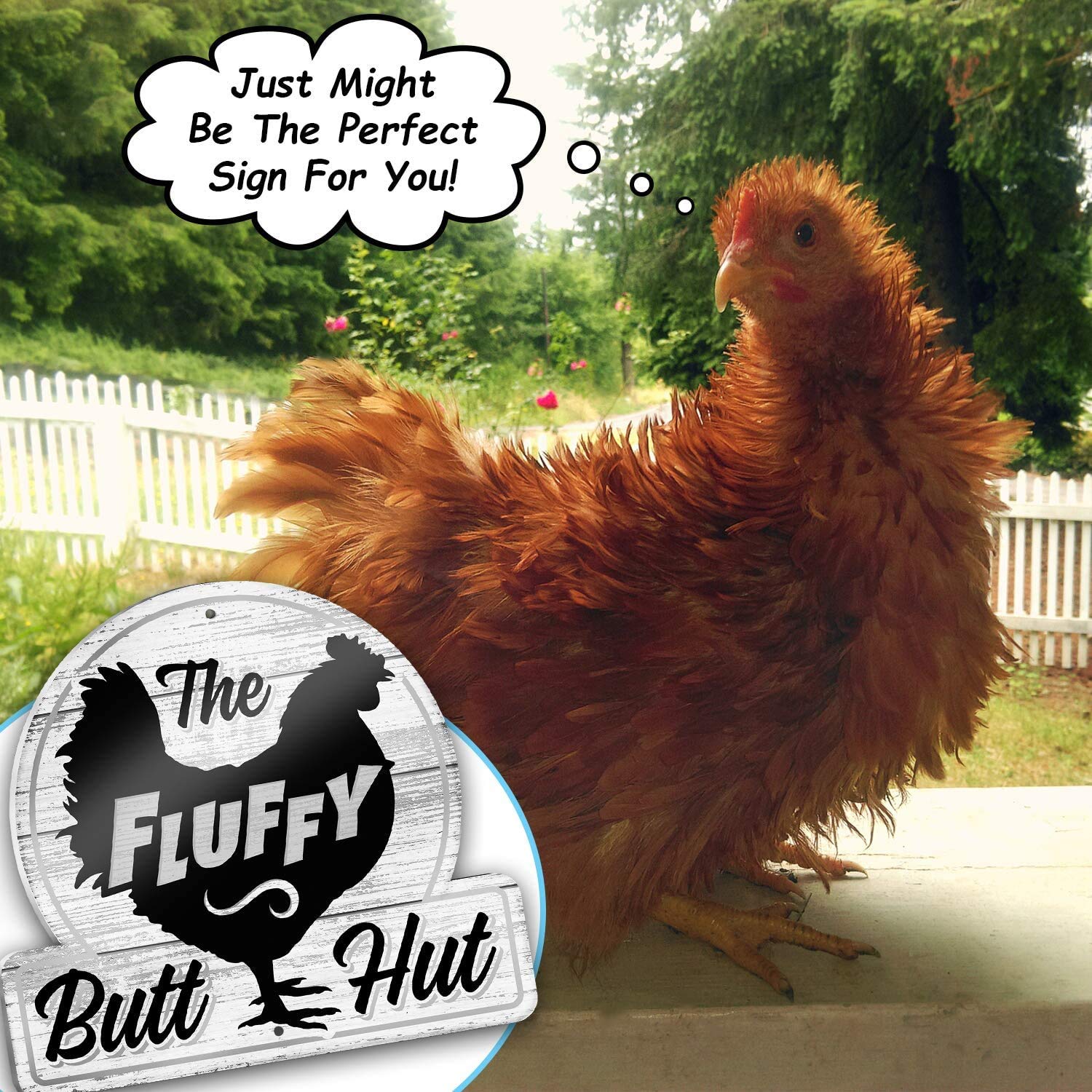 Bigtime Signs Fluffy Butt Hut Chicken Coop Sign - Funny Chickens Coop Decor for Hen Lovers, 12"x11" PVC Durable and Weatherproof - Thoughtful Gift for Chicken Lovers, Hen Feeder and Nesting Box Accent