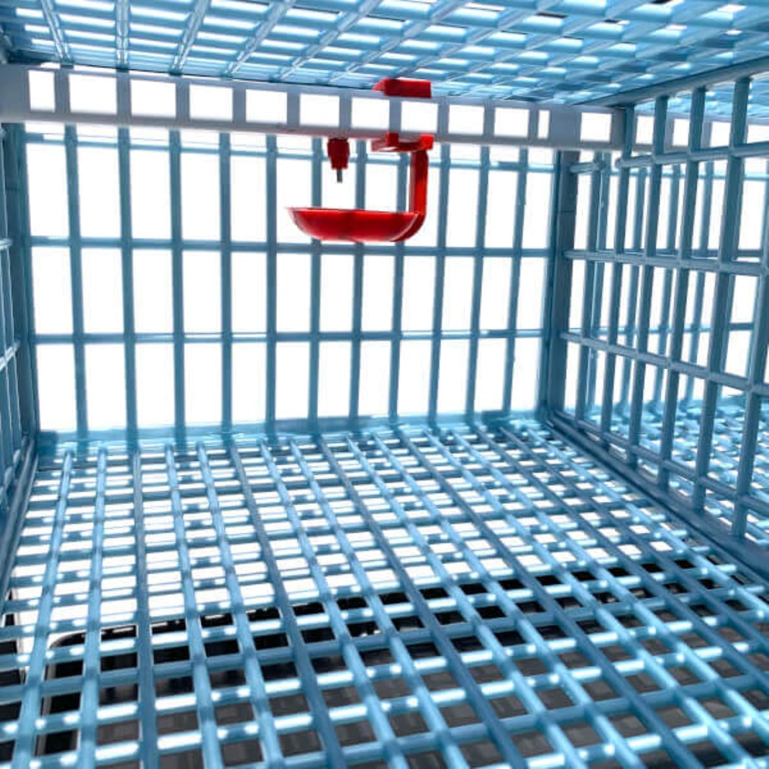 Quail Breeding Cage Indoor: 3 Layer Stackable Quail Coop, Easy Clean, Rust-Free, Easy Egg Collection (2024 Upgrades: Longer Waste Trays, Removable Middle Walls) Cimuka by Hatching Time (Traditional)